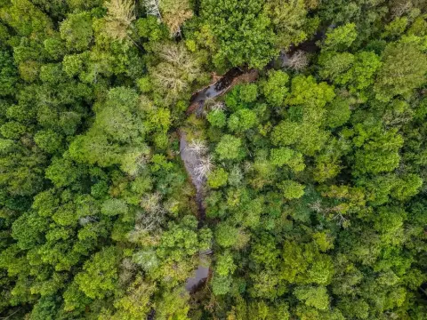 Ellijay Vacant Lot with Creek