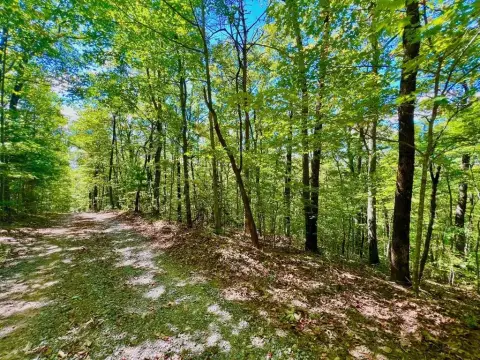 Ellijay, GA Acreage Homesite