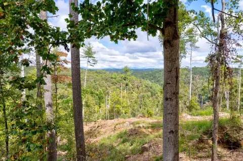 Ellijay Vacant Lot with Views