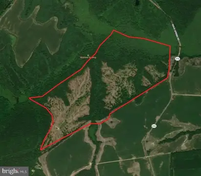 Managed Forest Land