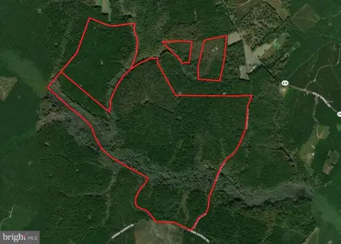 Conservation-Easement Forest Land