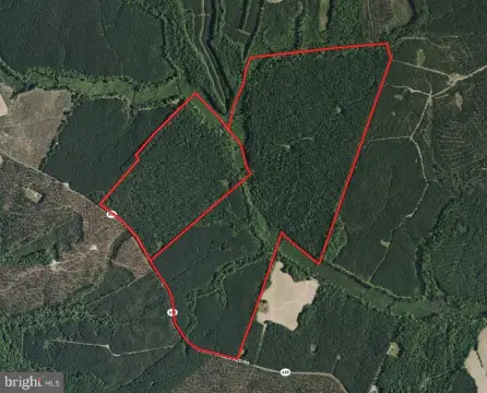 Conservation-Easement Timberland