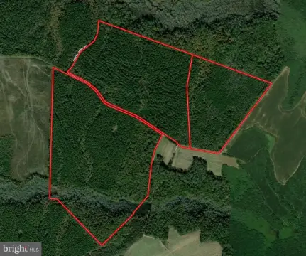 Managed Forest Hunting Land
