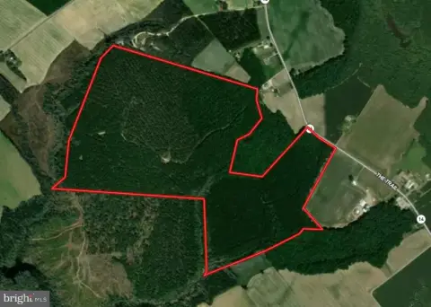 Conserved Forestland Investment Opportunity