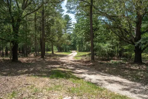 Recreational Hunting Tract with Ponds