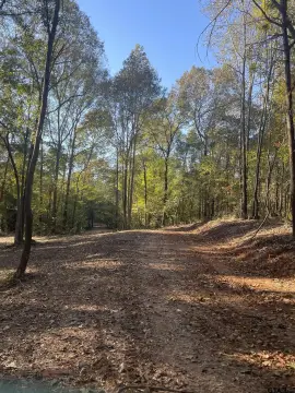 East Texas Recreational Acreage