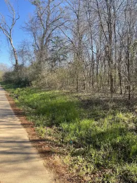 Wooded Acreage in Troup, Texas