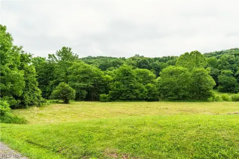 Recreational Land Tract with Road Frontage