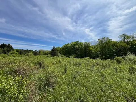 Farmersville Station Vacant Land Parcel