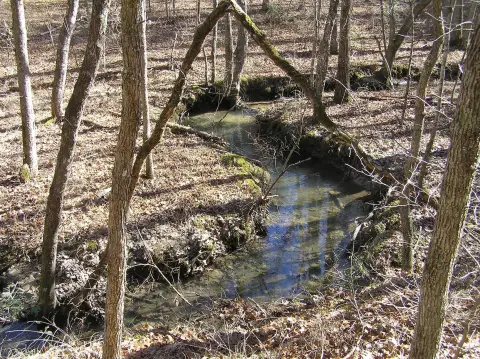 Wooded Lot with Creek Access
