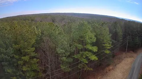 Wooded Land in Hawks Bluff