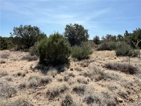 Kingman Acreage for Mini Ranch