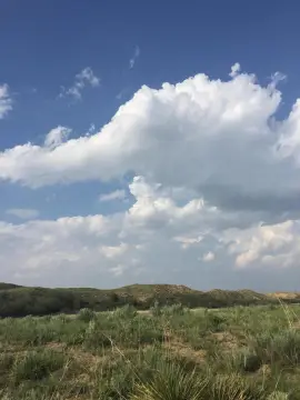 Residential Land in Dumas, Texas