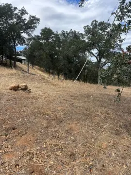 Foothills Country Acreage Parcel