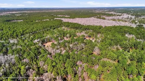 Wooded Recreational Land