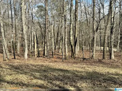 Wooded Lot for Dream Home