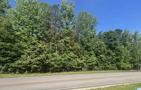 Residential Land in Oneonta, AL
