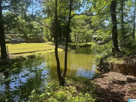 Ohatchee Acreage For Sale