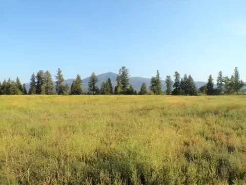 Kettle Falls Acreage Home-Site