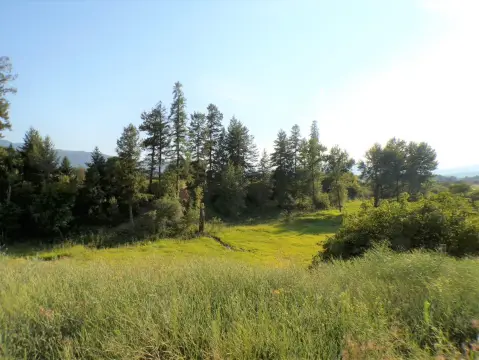Kettle Falls Acreage with Well