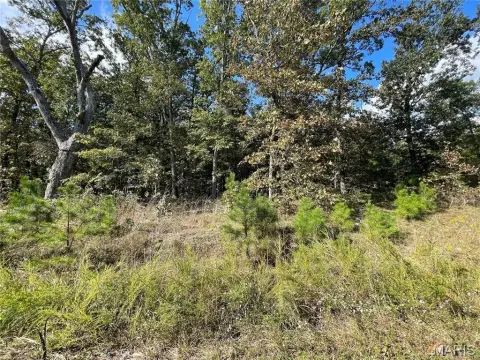 Residential Land in Wooded Area