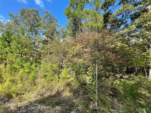 Residential Land in Wooded Subdivision