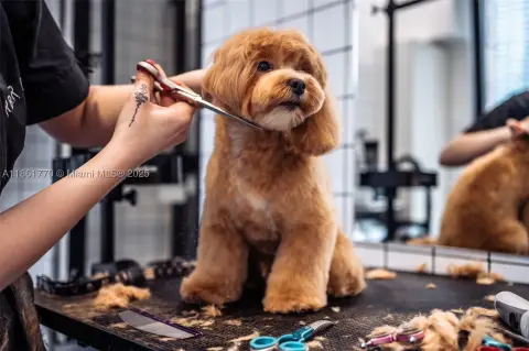 Turnkey Pet Grooming and Retail Boutique