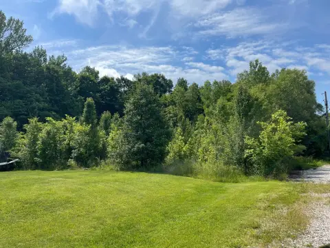 Wooded Lot in Tell City