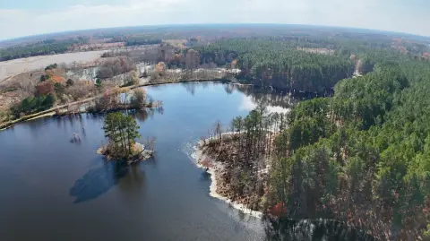 Timber and Hunting Land