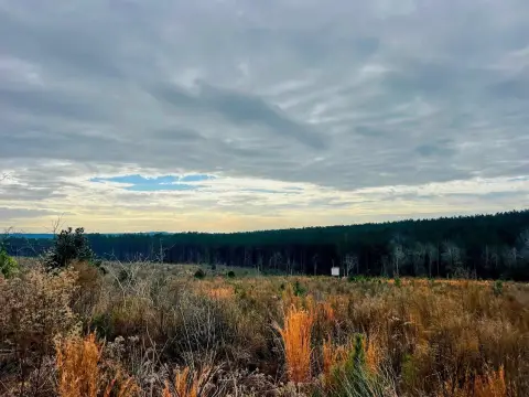 220 Acres Hunting and Recreational Land