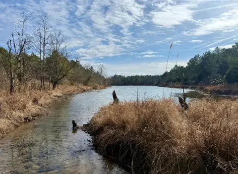 20 Acres Waterfront Hunting Land