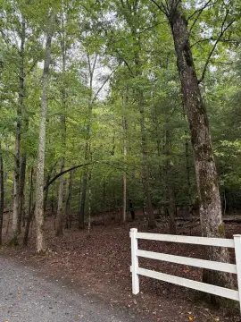 Hayesville NC Wooded Lot