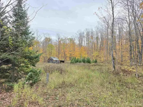 Off-Grid Land in Ottawa Forest