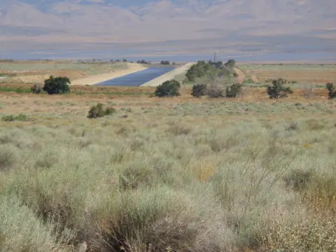 Level Farmland Parcel