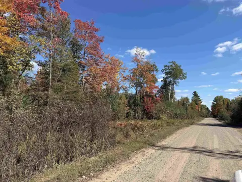 Wooded Hunting Land