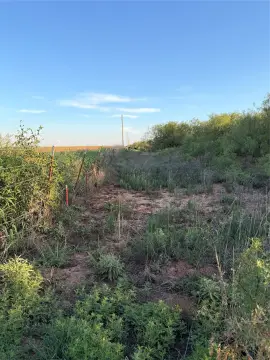 North Texas Hunting Ranch Land