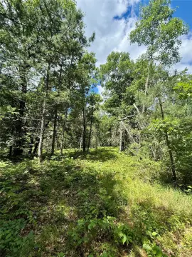 Recreational Hunting Land with Lake Proximity