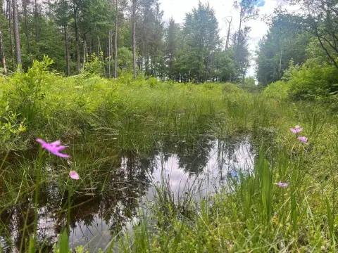 Secluded Hunting and Recreation Land
