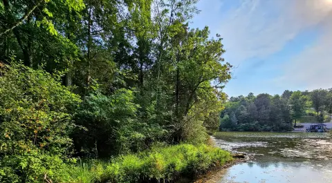 Waterfront Lot in Elk Lake