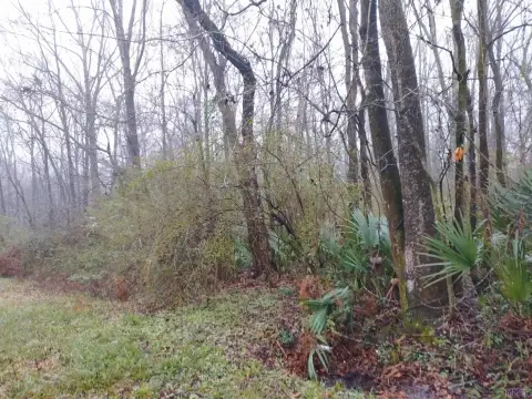 Undeveloped Lot in Quiet Neighborhood