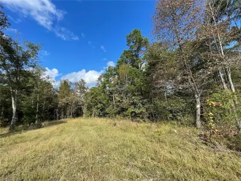 Residential Land in Wooded Subdivision