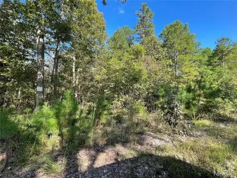 Residential Land in Wooded Subdivision