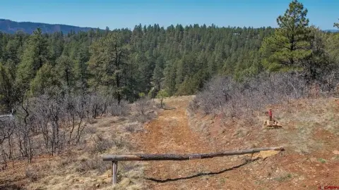 Pagosa Springs Wooded Residential Land