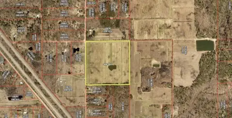 40 Acres Blueberry Farm Land