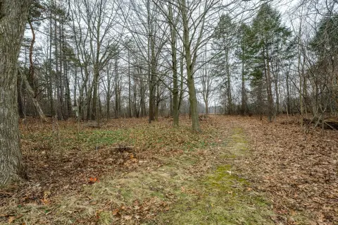 Wooded Land Parcel in Bridgman