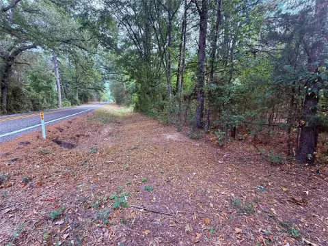 Wooded Land With Dual Access