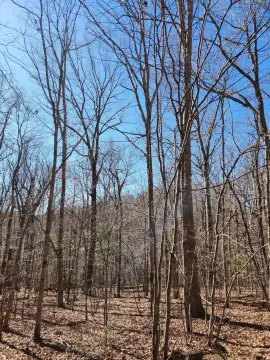 Crossville Resort Land for Sale