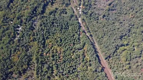 Wooded Hunting Land