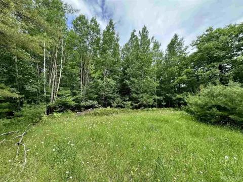 Recreational Hunting Land with High Ground