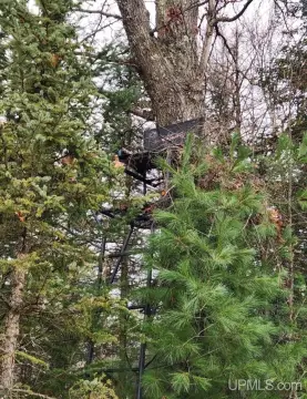 Hunting Land with ATV Access